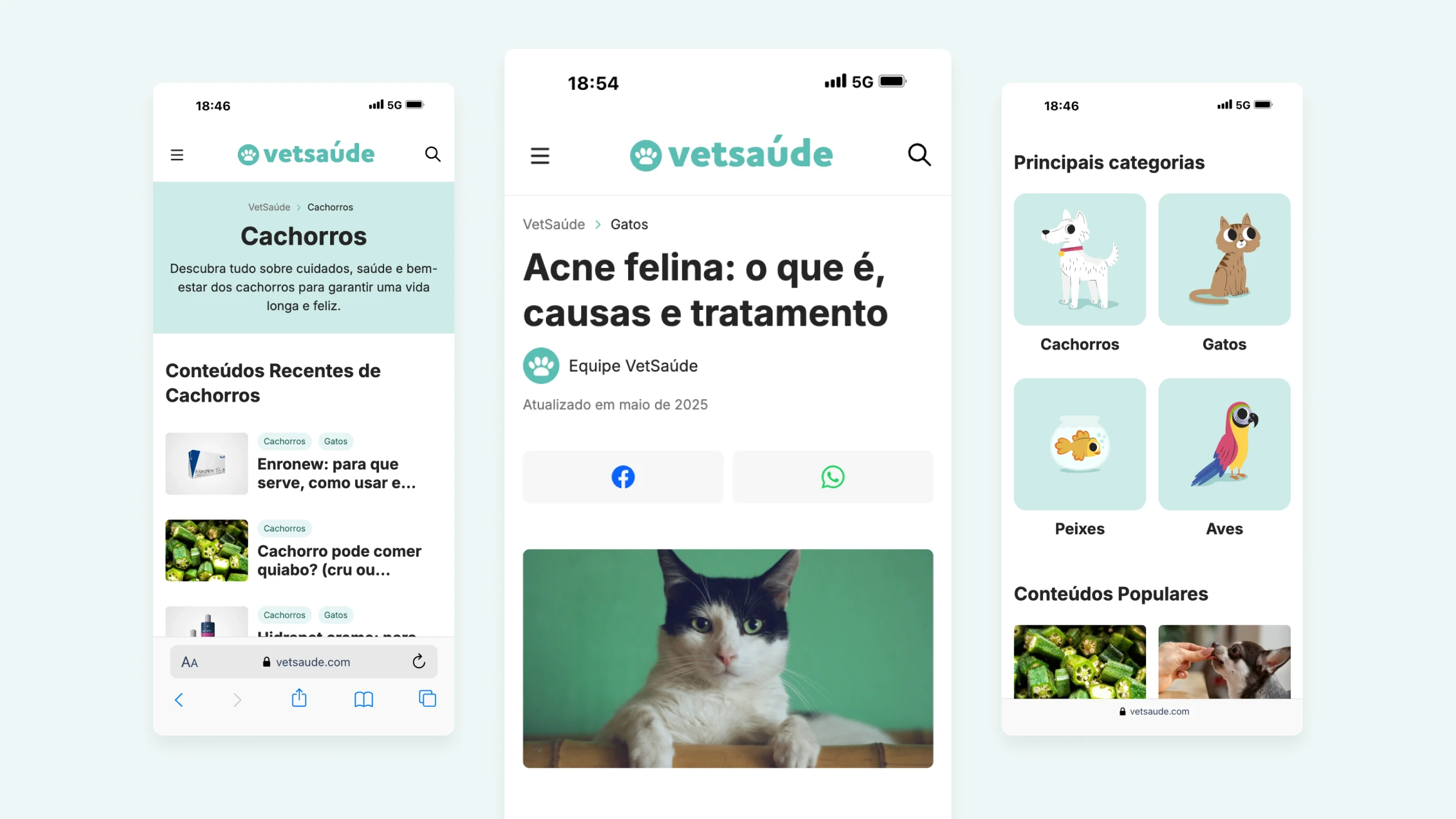 Três telas móveis do VetSaúde mostrando conteúdo e categorias